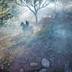 Assassin’s Creed Origins